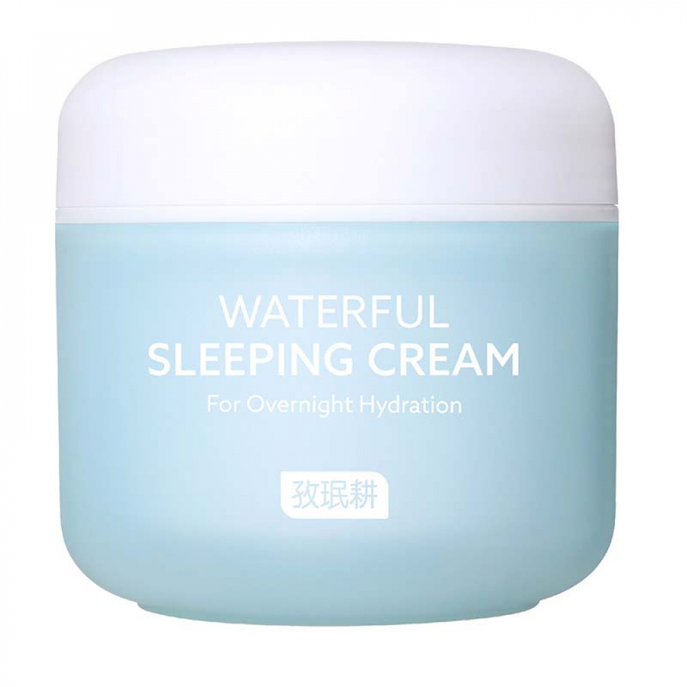 Jaminkyung Crema Caracol Waterful Sleeping Cream Увлажняющий ночной крем для лица против морщин 60ml