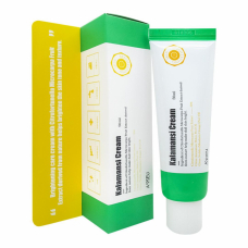 Восстанавливающий крем с экстрактом каламанси A'PIEU Kalamansi Cream 50ml