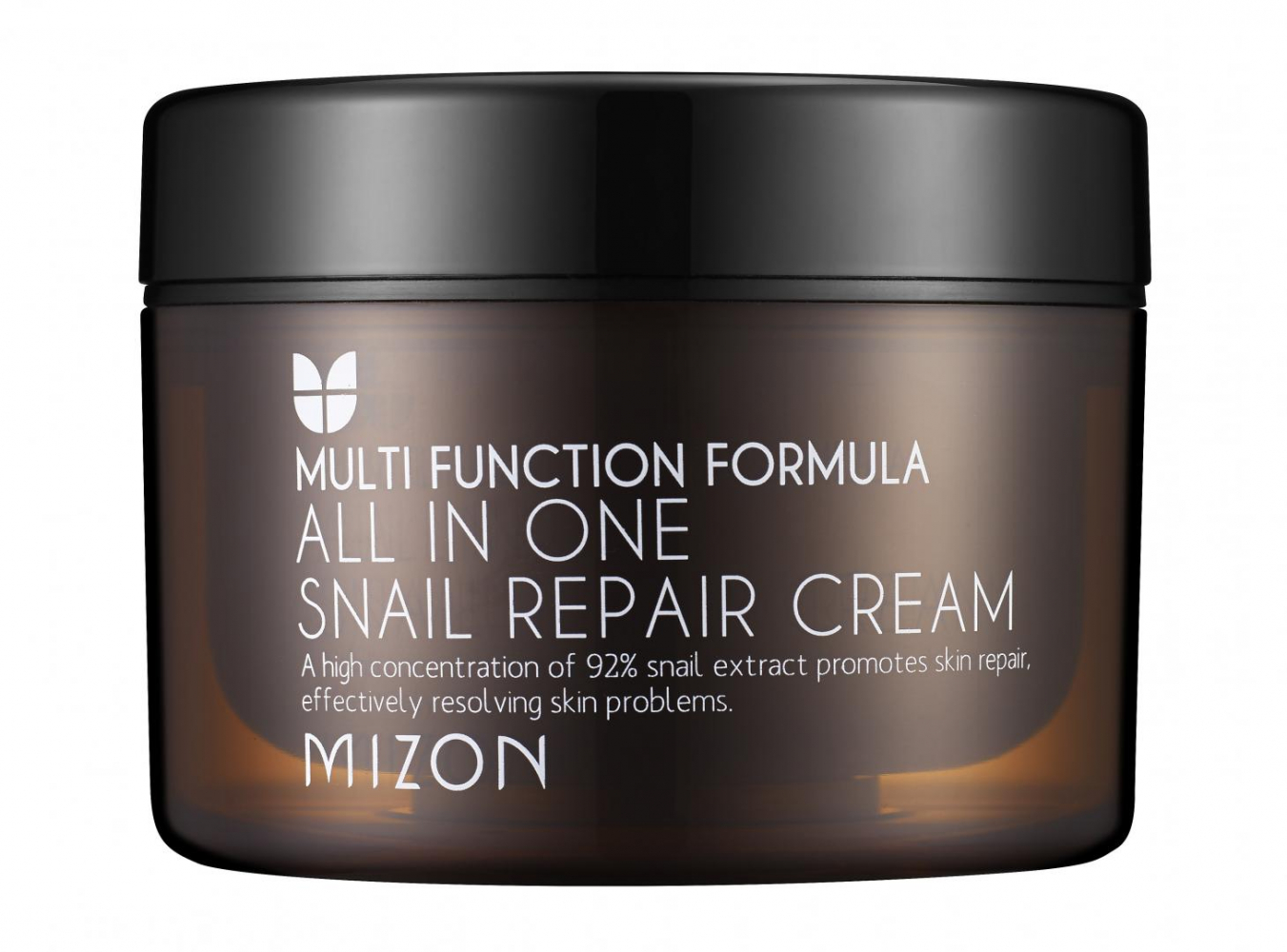 Крем для лица с муцином улитки Mizon All In One Snail Repair Cream 75ml