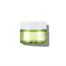 Крем для жирной кожи с экстрактом чайного дерева Tenzero Teatree Clearing Water Cream 50g